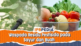 IPB Pedia: Bahaya Residu Pestisida pada Sayur dan Buah