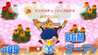 【ポケ森 #9】BGMガーデン～イベントと交配！～【どうぶつの森ポケットキャンプ】