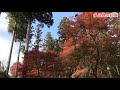 【大垣市】多良峡の紅葉