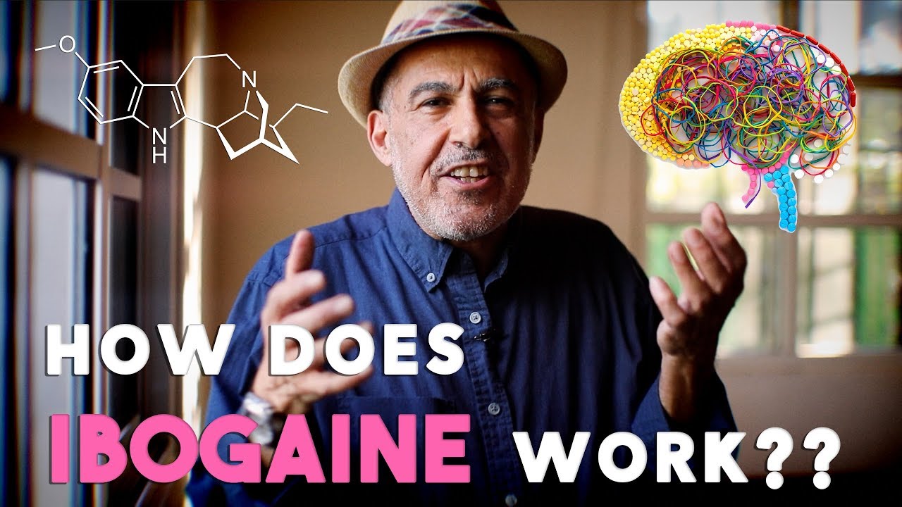 How Does Ibogaine Work? Can Your Body Heal Itself With Ibogaine? - YouTube