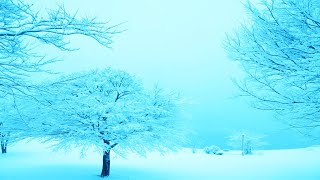 2022年から2023年の降雪速報3ヶ月間の気象庁季節予報