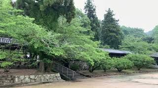 吉備津神社 廻廊③  2024/7