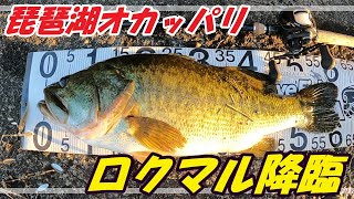 【琵琶湖】南湖オカッパリでロクマル出現！！【オカッパリ】