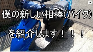 大型自動二輪免許取ってバイクに乗りたくなったからアドレスv125Gを買ったよ