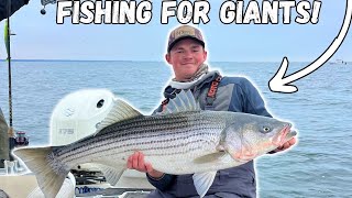 Chasing TROPHY STRIPED BASS On The CHESAPEAKE BAY! Boats And Fish Everywhere!