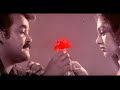 chinkara kinnaram hd chinkara kinnaram evergreen hit song minnaram mohanlal shobana