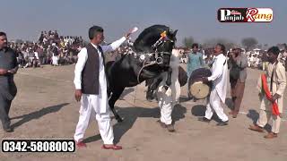 All Punjab Horse Dance Jhanghar Lal Wala Nankana 4 Feburary 2020 -512