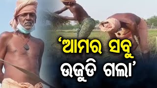 ‘ଆମର ସବୁ ଉଜୁଡି ଗଲା’| Odisha Reporter