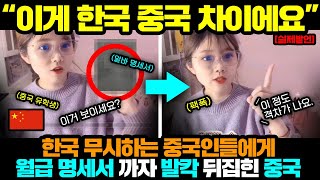 중국반응ㅣ한국 무시하는 중국인들에게 극딜박는 중국 엘리트 유학생 ㄷㄷ