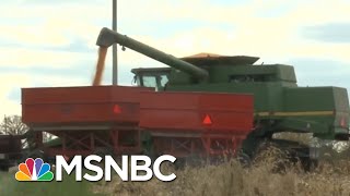 Nebraska Farmers Feeling Impact Of President Donald Trump’s Trade War | Velshi \u0026 Ruhle | MSNBC