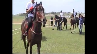 Скачки Буйнакск 15.05.2016г