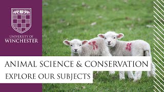 Animal Science and Conservation at Winchester - Explore our subjects