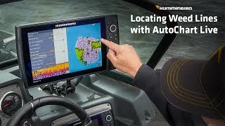 How to Find Weed Lines with your Fish Finder | Humminbird