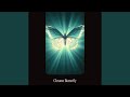 Chrome Butterfly