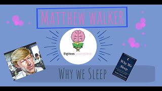 Why We Sleep By Matthew Walker: Animated Summary