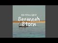 Within Storm Light