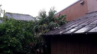 ウェザーリポート動画0920「台風最接近、ピーク時の風雨」＠鳥取市　１４時５分頃