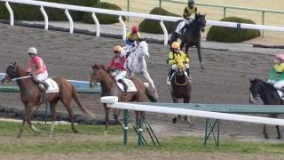 【ブチコ】 競馬 / 4歳1000万下 京都ダート1800m 2016 1 5