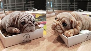 Pet dogs funny reaction for cutting dog shaped ice-cream cake