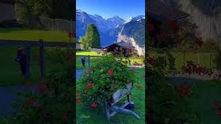 #travel #mountains #nature #switzerland #photography #shortvideo #viralvideo #trending #shorts#video