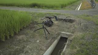 神社の前の水路で小物釣り3