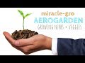 How to grow vegetables using an AeroGarden : The Bear Review