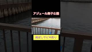 1月にアジ爆釣！　アジュール舞子公園　fishingmax垂水店