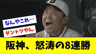 阪神、怒涛の８連勝！ガチで止まらんｗｗｗｗｗ