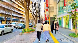 【4K】Japan Walking Tour - Beautiful Sunset at Nagoya, Aichi