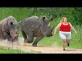 When Animals Go On A Rampage And Got Caught On Camera !