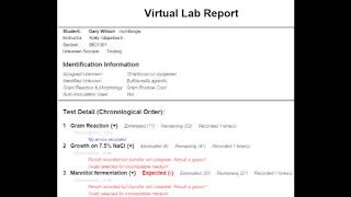 The Virtual Lab Report