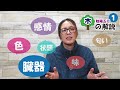 陰陽五行・四柱推命【木の解説】no.1～木で分かる性質・健康・対処法～