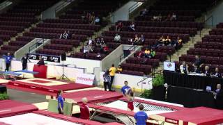 Samantha Sendel - Women's Trampoline Final - 2014 Senior Pan Am Trampoline Championships