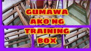 nag gawa tayo guys ng training box at nagpa ronda nadin ako ng ibon...😁👍