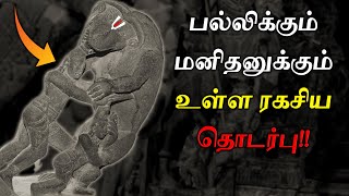 நமது முன்னோர்களை ஆண்டது பல்லிகளா?காலங்காலமாக மூடி மறைக்கப்பட்ட உண்மை! 😱