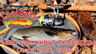 CoolBaits - Там, где живут леопарды (часть 2, сезон 2016)