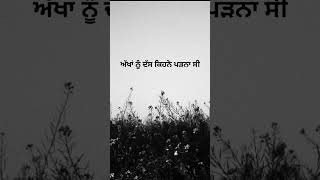 ਗੱਲ ਜੇ ਦਿਲ ਤੇ ਨਾ ਲਾਈ ਹੂੰਦੀ ਪੰਜਾਬੀ ਸ਼ਾਇਰੀ Punjabi Poetry 2023