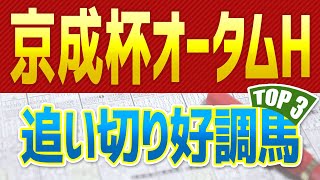 【京成杯オータムハンデキャップ2022予想】追い切り・調教が好調だった「トップ３」はこの馬だ🐴 ～JRA京成杯AHの一週前と最終追い切り、馬体映像から分析～