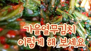 가을 열무김치 이렇게 해 보세요