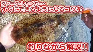 実践エギング講座！シャクリが苦手な人も、一発で軽快にしゃくれる方法を釣りながら解説します！！