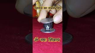 ये है जिंदा चमत्कारी रुद्राक्ष 😱😰😨🕉️महादेव को सबसे प्रिय #hindumythology #shiv #mahadev #lordshiv