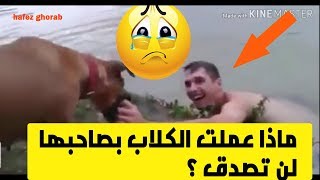 مقاطع مبكية  لكلاب تنقذ اصحابها من الموت .شاهد وفاء الكلاب