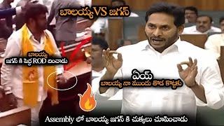 రేయ్ బాలయ్య నా ముందు తొడ కోట్లకు కాలు నరుకుతా || Jagan Fires On Balakrishna Inside Assembly || NS