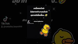 #คำคม#เธรด #เธรดเพลง #เธรดความรู้สึก #เธรดเพลงเพราะシ🤍 #เสี่ยเลี้ยง #หาคนดูแล #♥️