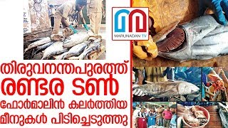 രണ്ടര ടണ്‍ ഫോര്‍മാലിന്‍ കലര്‍ത്തിയ മീനുകള്‍ പിടിച്ചെടുത്തു I kerala fish