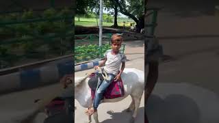 Little Boy Riding Horse in Victoria Memorial | Kolkata vlogs