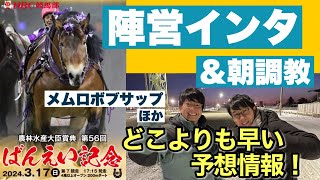 【陣営インタ】ばんえい記念2024「馬がよみがえった」「いい状態」＆貴重な朝調教映像をどこよりも早く！！