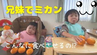 生後７ヶ月のグズりの娘と２歳息子のみかんを食べた時の反応【Reactions of a 7-month-old and a 2-year-old to eating mandarin oranges】