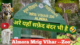 Almora zoo | अल्मोड़ा चिड़ियाघर | सफेद् बन्दर् और् हिरन् वाला Zoo🐒 l मृग विहार अल्मोड़ा।