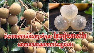 ចិនហាមឃាត់មិនឲ្យនាំចូលផ្លែមៀនរបស់ថៃដោយសារគុណភាពមិនស្តង់ដារ